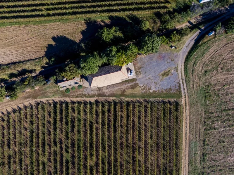 Vinarija Siber